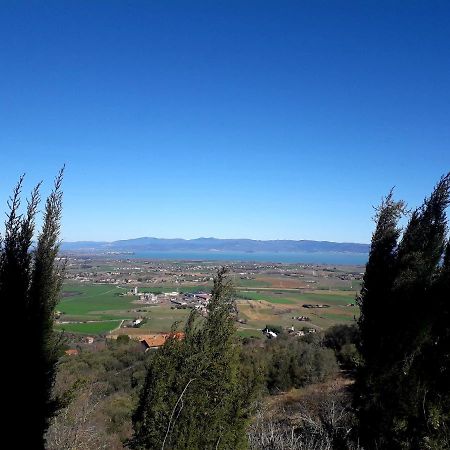 Villa Il Vecchio Frantoio Panicale Exterior foto